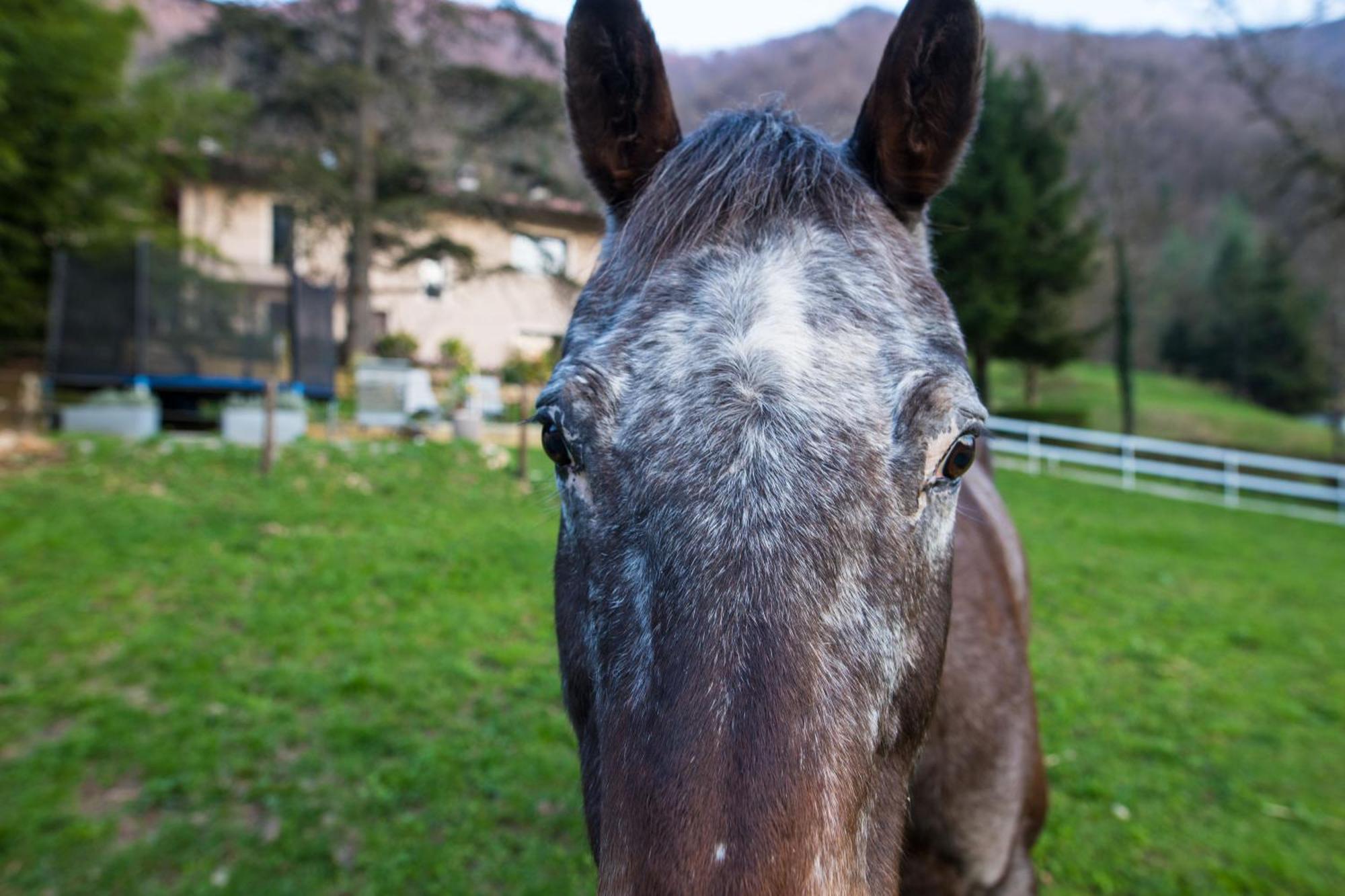Cascina Canale Sabbio Chiese Exteriér fotografie