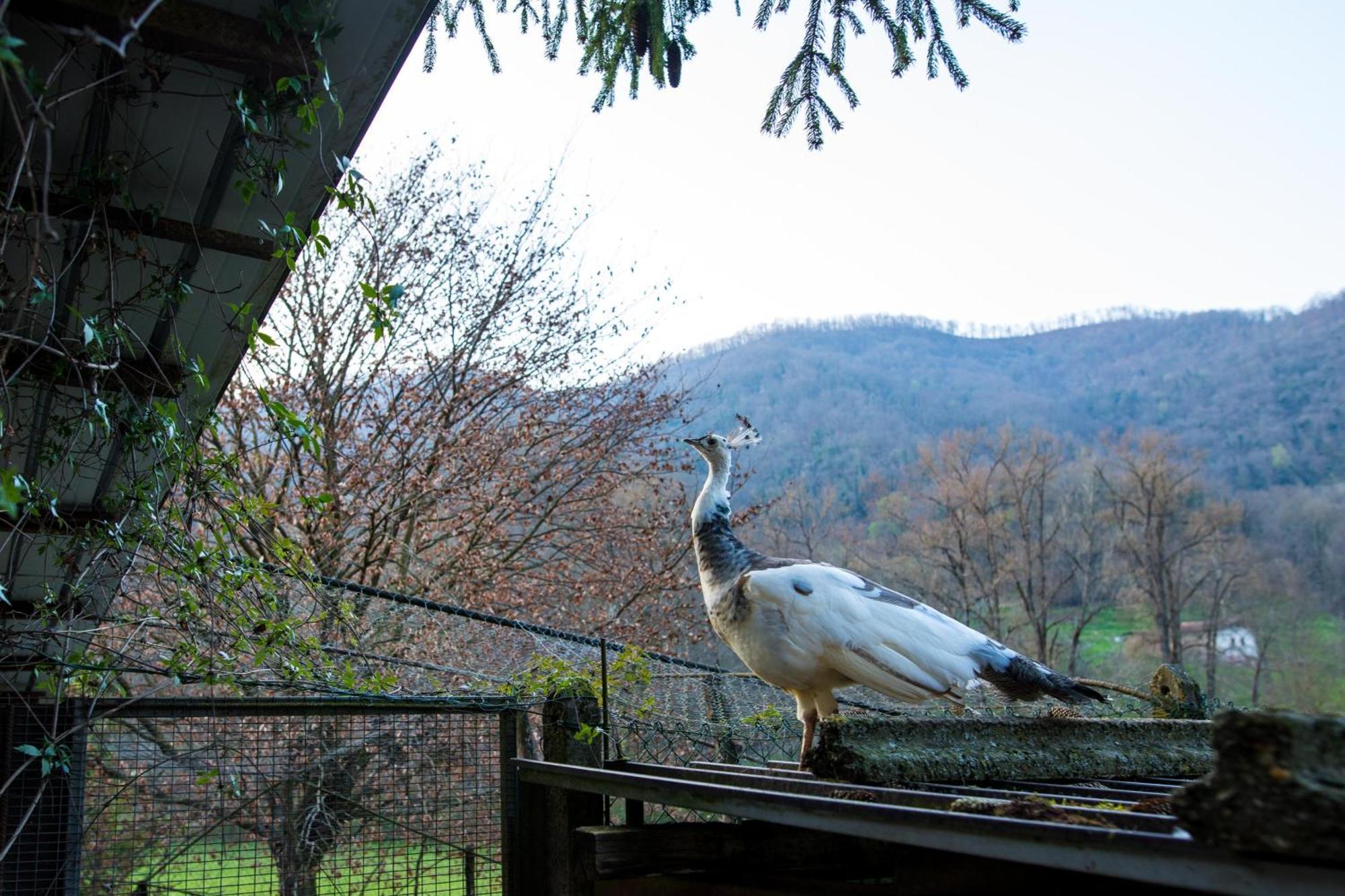 Cascina Canale Sabbio Chiese Exteriér fotografie